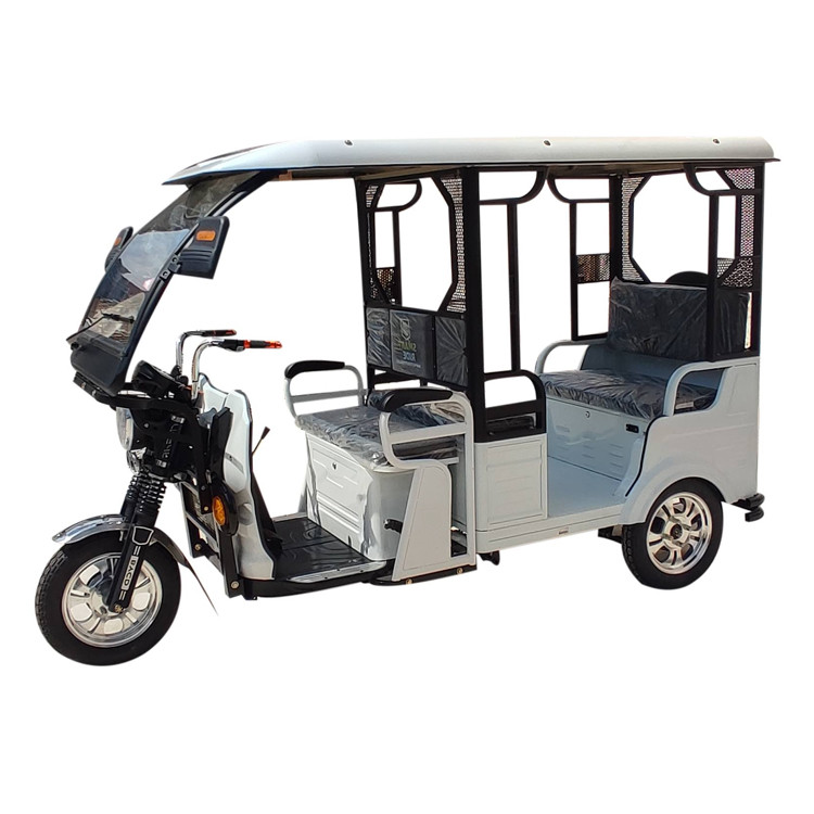 Motocarro Triciclo Eléctrico